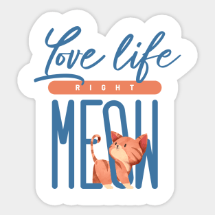 Love life Right Meow Sticker